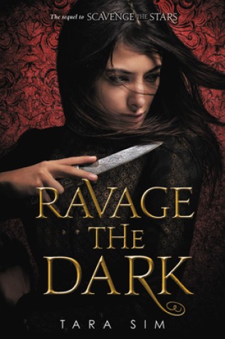 RavageTheDark_cover